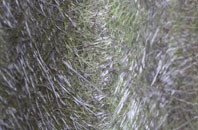 Thakeham fibreglass roof work